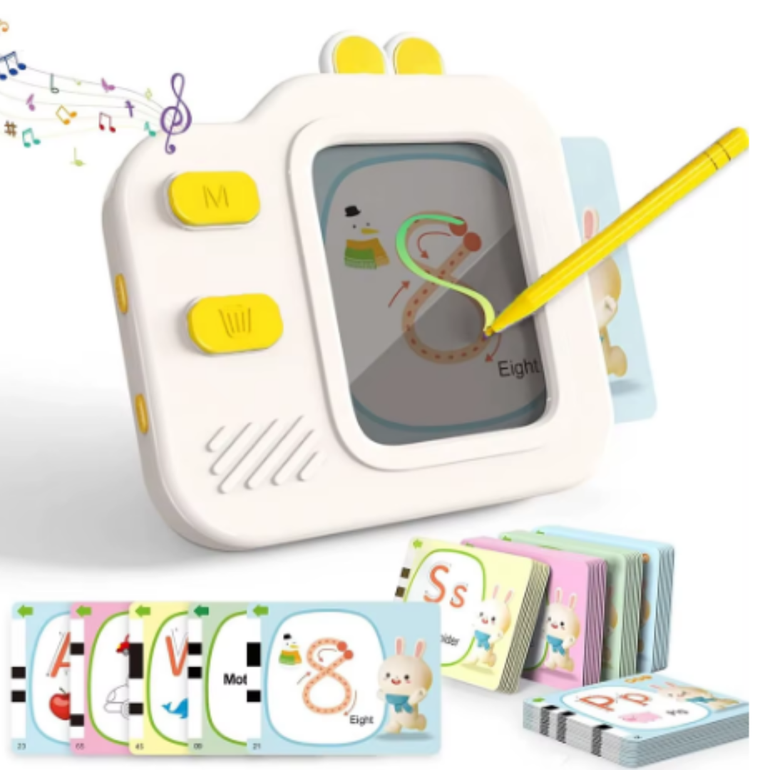 Talking Flash Card Reader