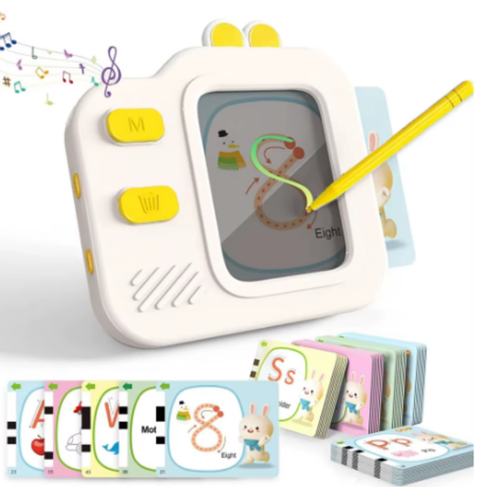 Talking Flash Card Reader